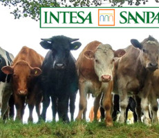 Intesa San Paolo ”vende” 300.000 clienti a Crédit Agricole come mucche
